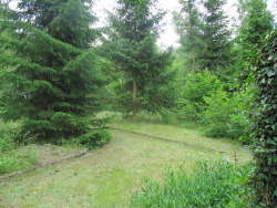 Roitzsch